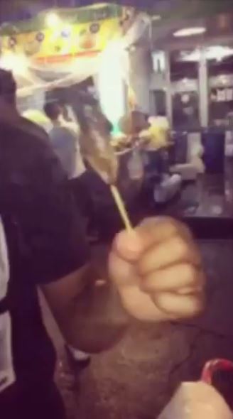  The insect was served to him on a skewer