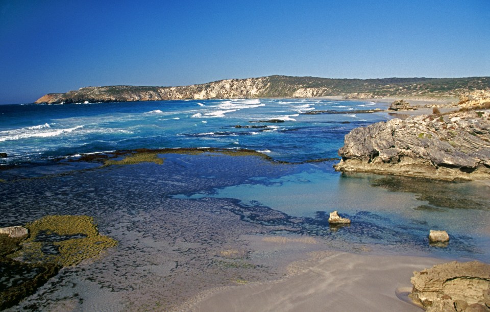  Debris was found by a walker who was searching for driftwood on Kangaroo island