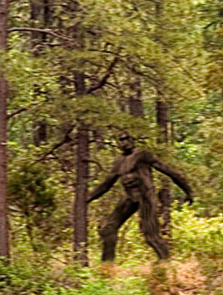  Over the years there have been a lot of sightings of Bigfoot, otherwise known as Sasquatch, and even its baby