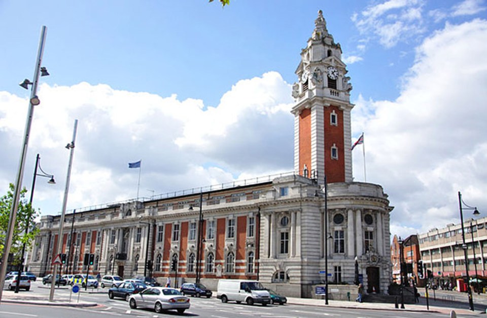  Pair were spotted on Rush Common, near Brixton Town Hall in South London