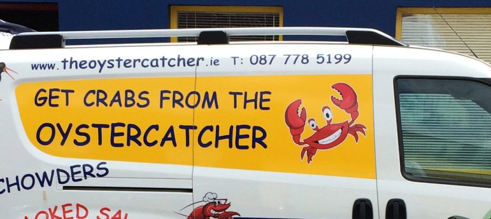 Fishy fun . . . van in Ireland