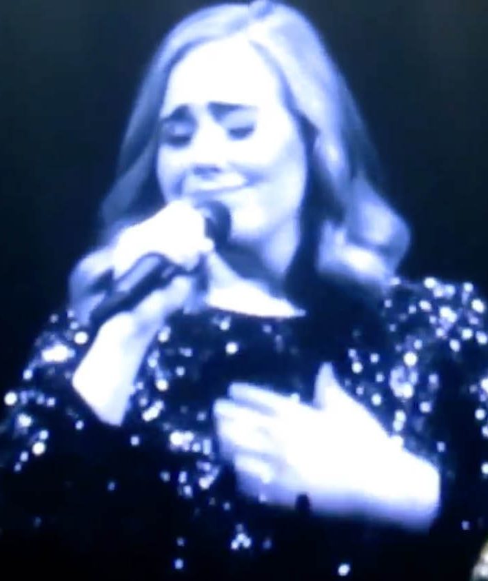  Singer Adele paid tribute to her LGBTQ 'soulmates' at dedicated concert