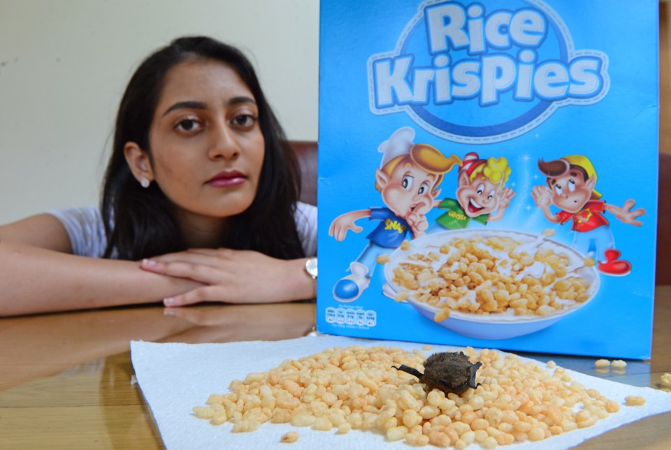  Sehr says she and her family won't be eating Kellogg's cereal ever again after the disgusting discovery