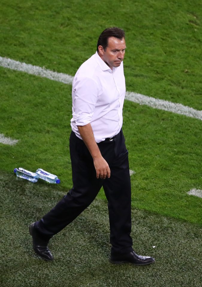  Marc Wilmots reacts on the touchline during the defeat by Italy