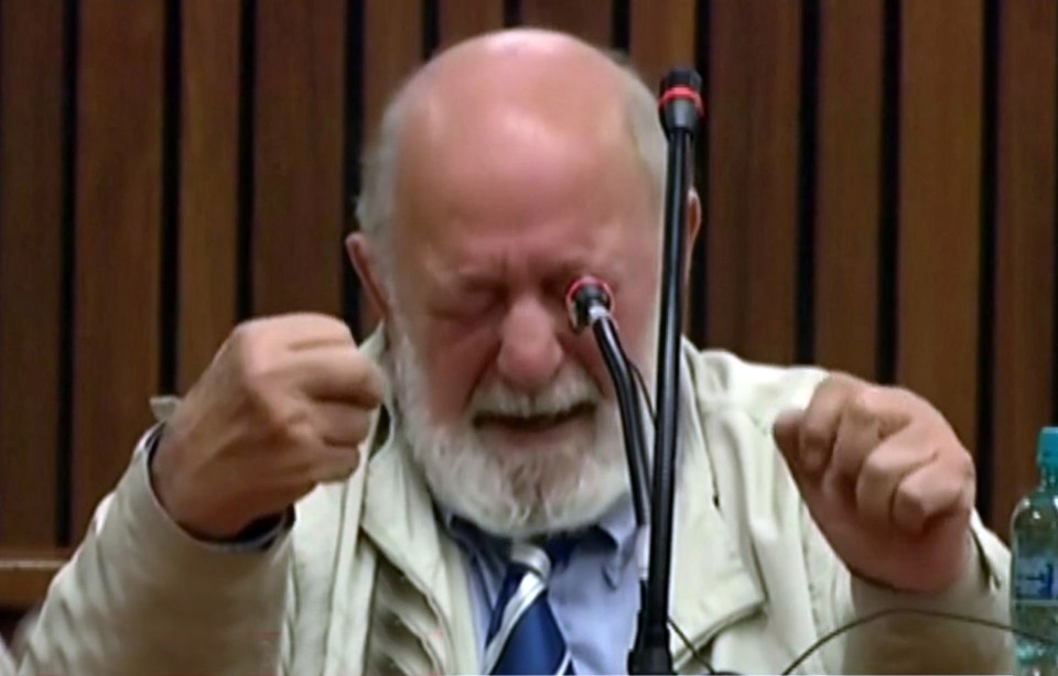  'I think of her morning, noon and night': Barry Steenkamp breaks down in tears during Pistorius's trial