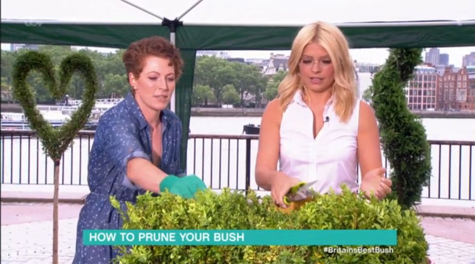  'If you've got a really fuzzy bush...' Guest Charlie explains best grooming practice to Holly Willoughby