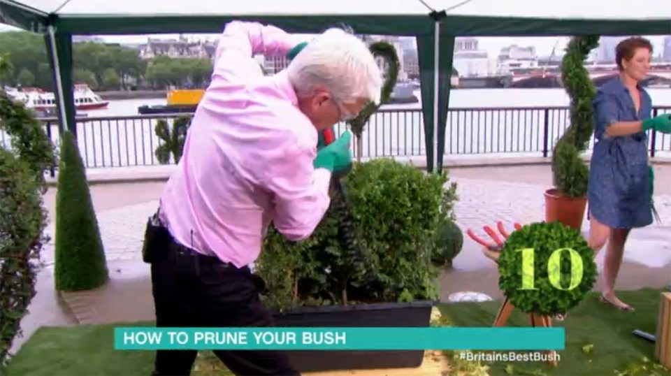  Poor Phillip Schofield meanwhile put his failure down to going 'mad on my unruly bush'