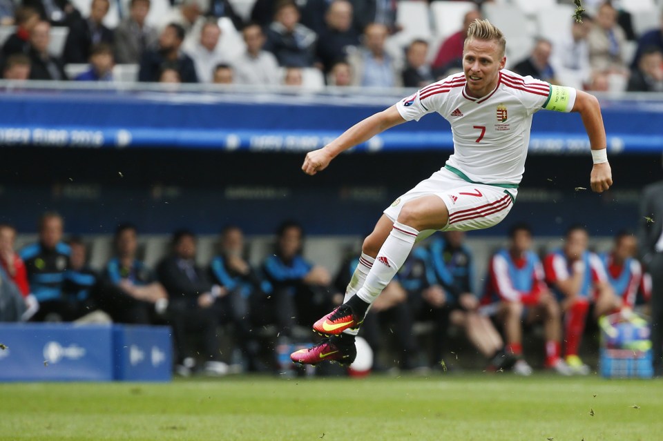  Dzsudzsak then went close again after a powerful left-footed strike was tipped over by Robert Almer