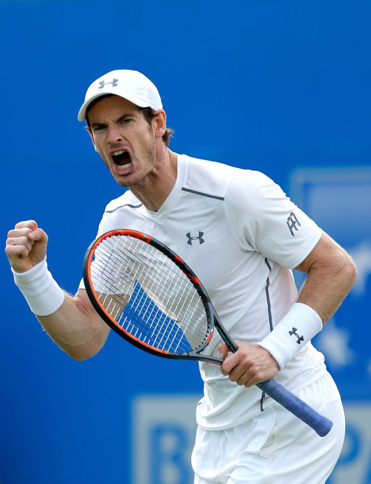  Andy Murray takes on Aljaz Bedene in the second round at the Aegon Championships with the winner taking on Kyle Edmund in the quarter-final