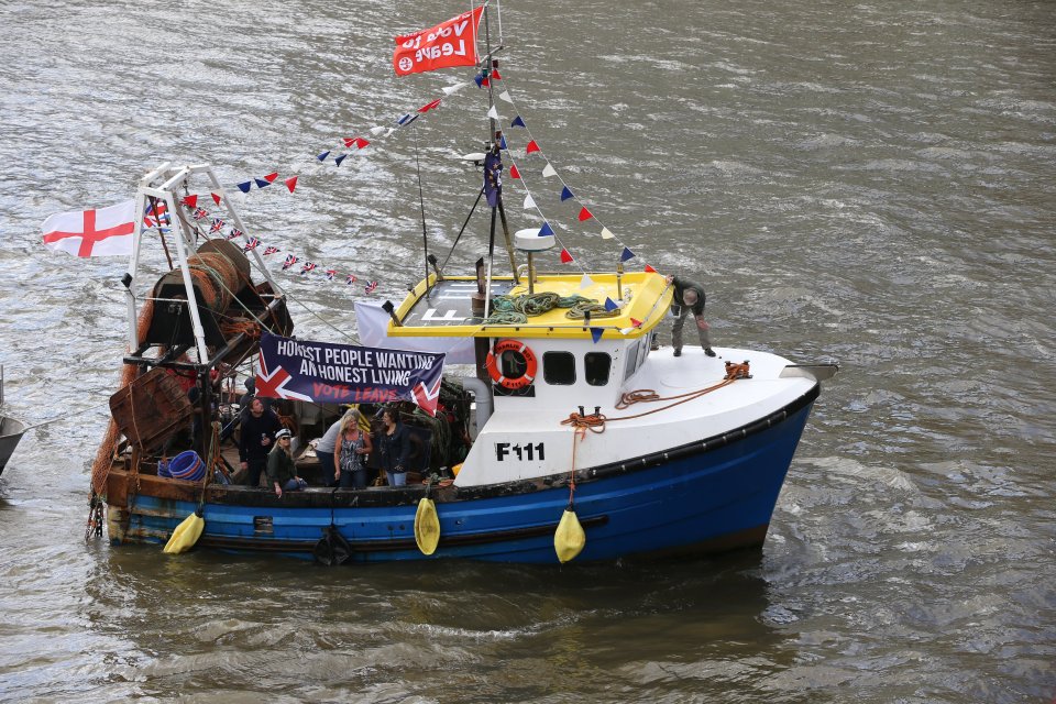  The fishing boats had come from all over the UK to protest against the EU referendum