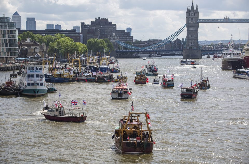  Dozen of boats from the 'Fishing for Leave' campaign took part in the protest