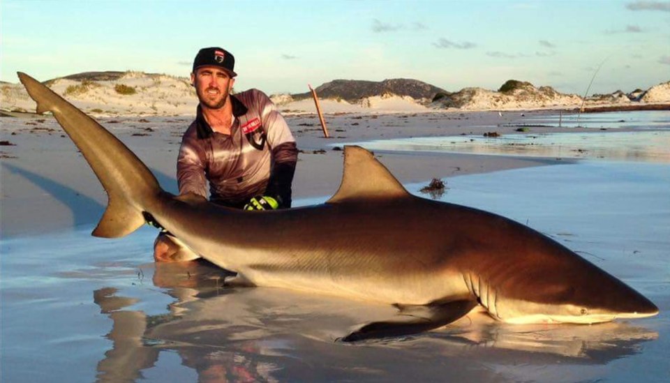  Two Aussie daredevils managed to bag ten massive sharks on a four-day fishing trip