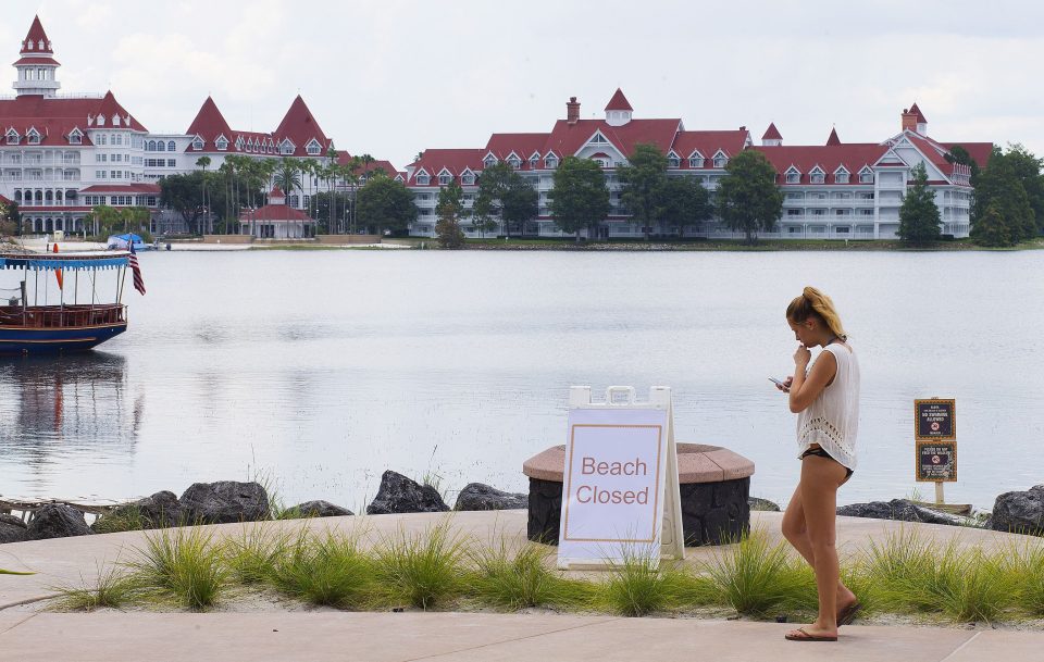  Disney World shut down all its beaches in an attempt to catch the alligator who killed Lane