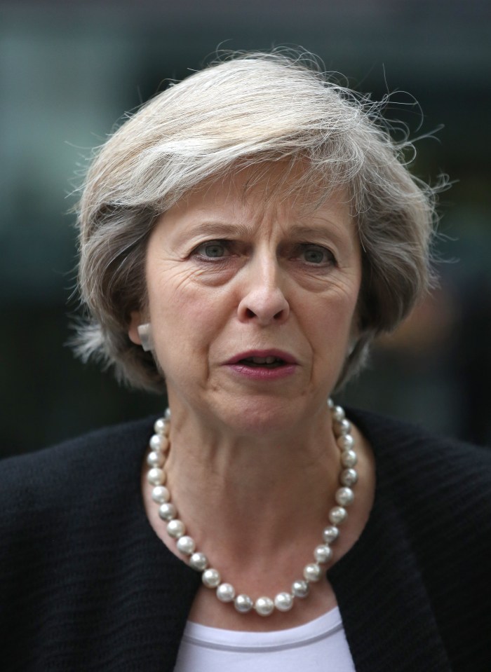  Eagle eye ... Home Secretary Theresa May is being urged to take personal charge of reviewing MPs security