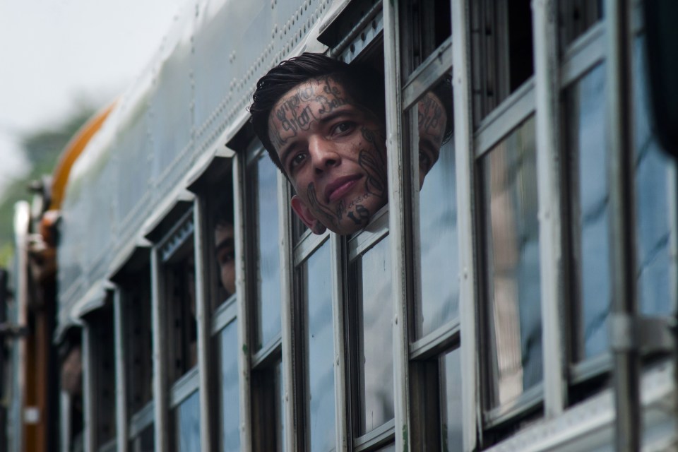  The heavily tattooed members look out the window as they are moved to medium-security prisons elsewhere