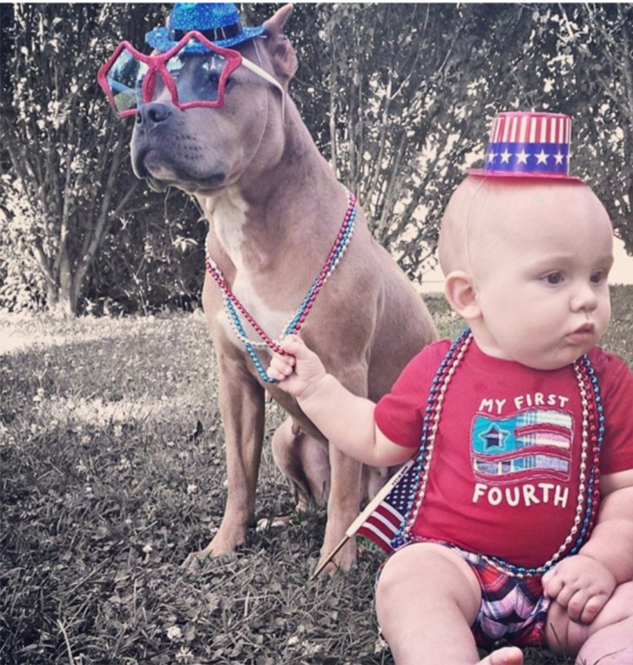 Babies with Pit Bulls