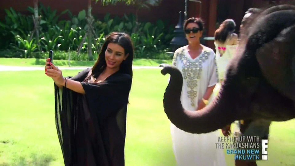  Kim fancied a selfie with an elephant...