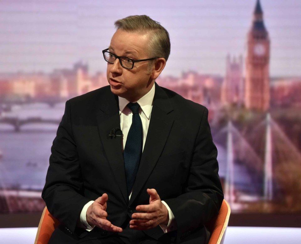  Michael Gove has apologised for comparing pro-EU experts to Nazis