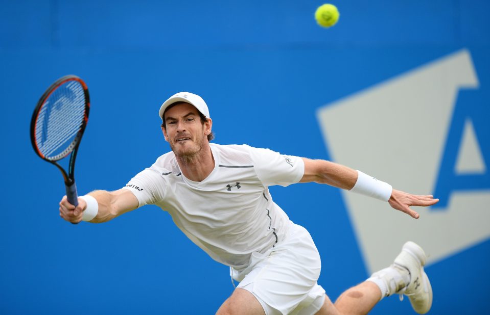  Murray fought back from a set and a break down to win the final