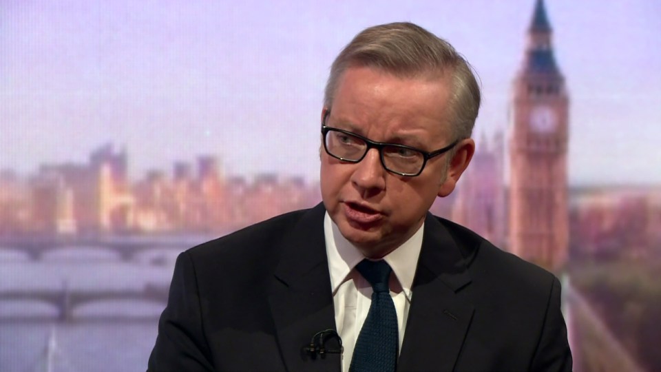  Michael Gove had incorrectly said Barnes backed Brexit