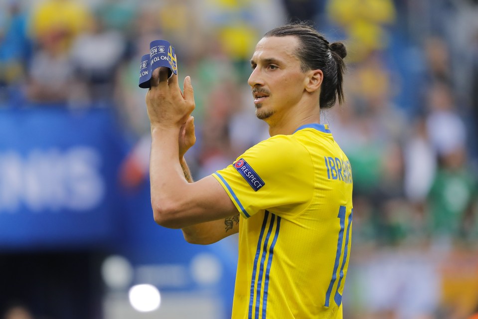  Zlatan Ibrahimovic has made the decision to retire from international duty with Sweden at the end of this summer's European Championships in France