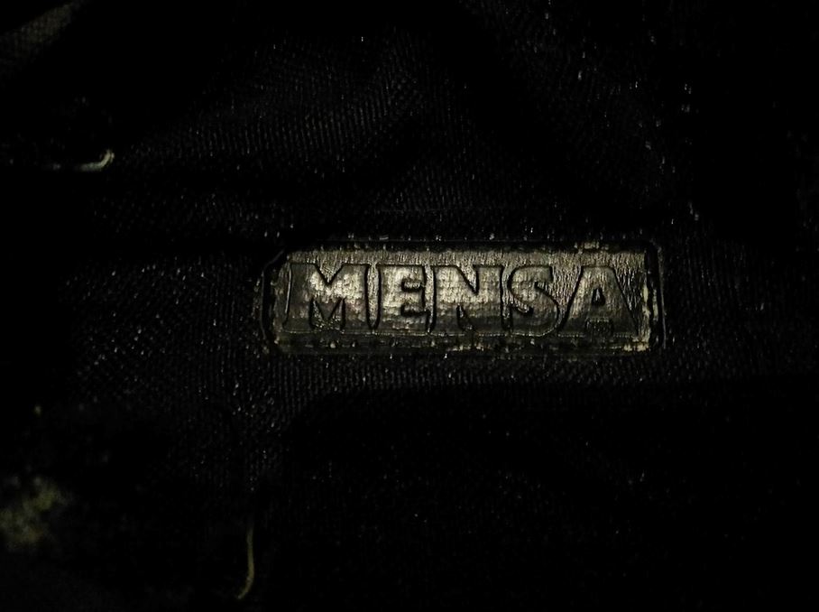  One laptop case had the logo for intellectual group MENSA embossed on it