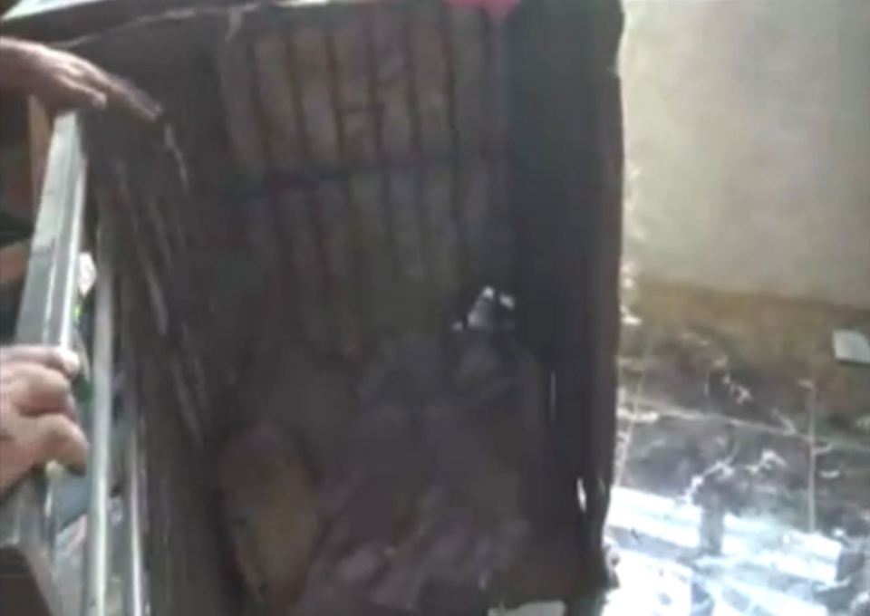  Iraqi soldiers discovered a dog cage in an ISIS jail designed to humiliate prisoners