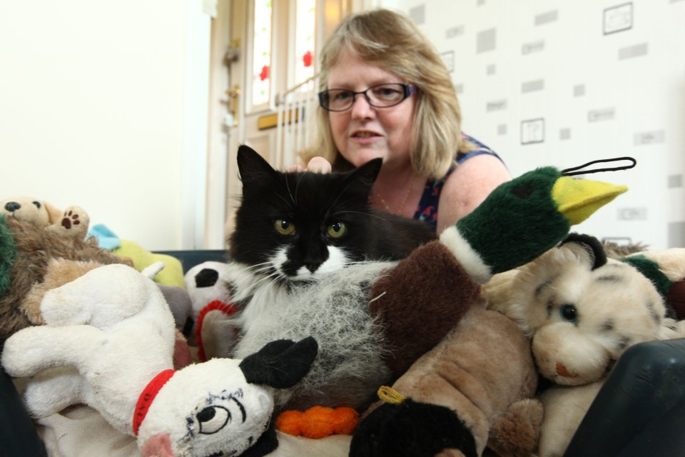  Smug Milly with owner Angie and her stash