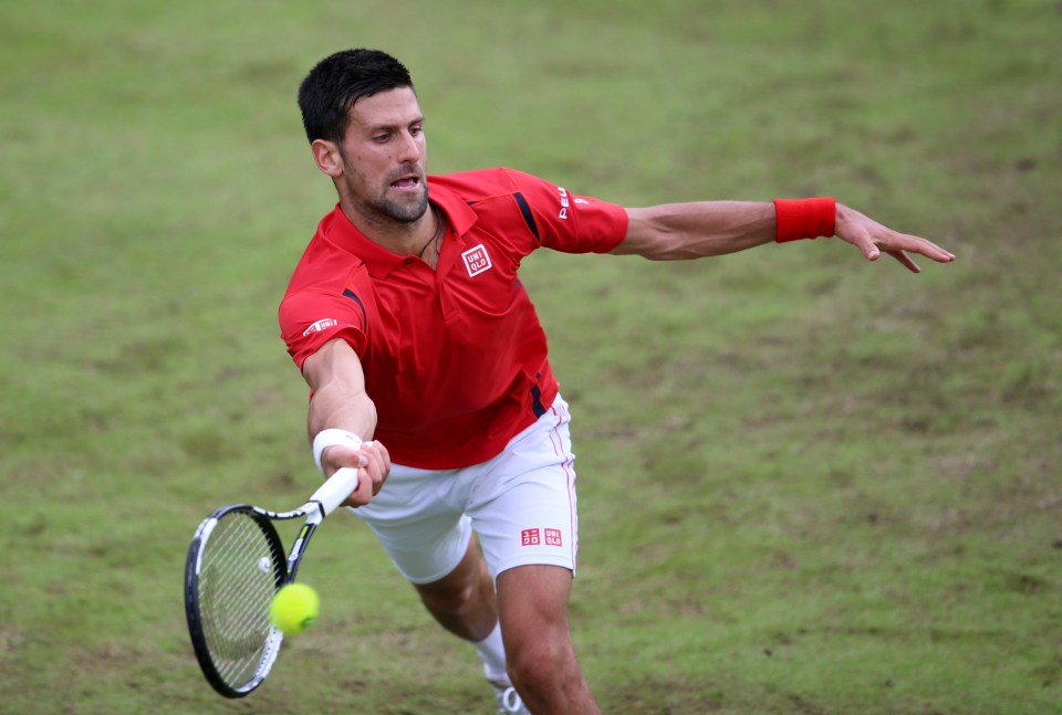  Novak Djokovic was beaten for the first time this year on grass by David Goffin