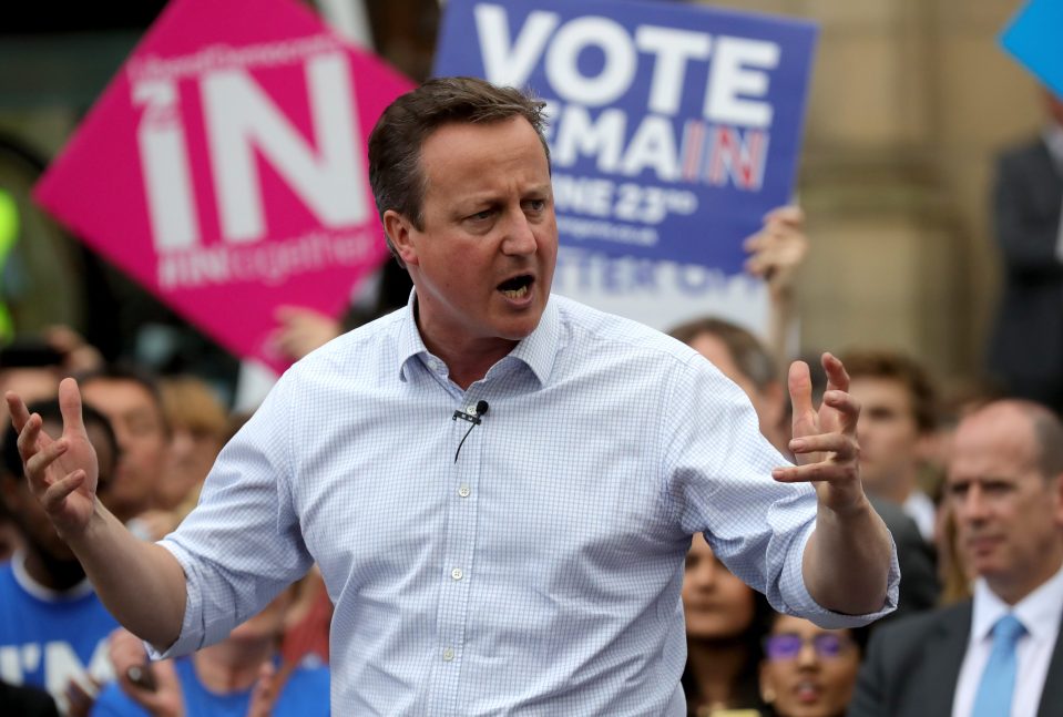  Under pressure...Cameron's job could be on the line if the nation votes to Leave the EU