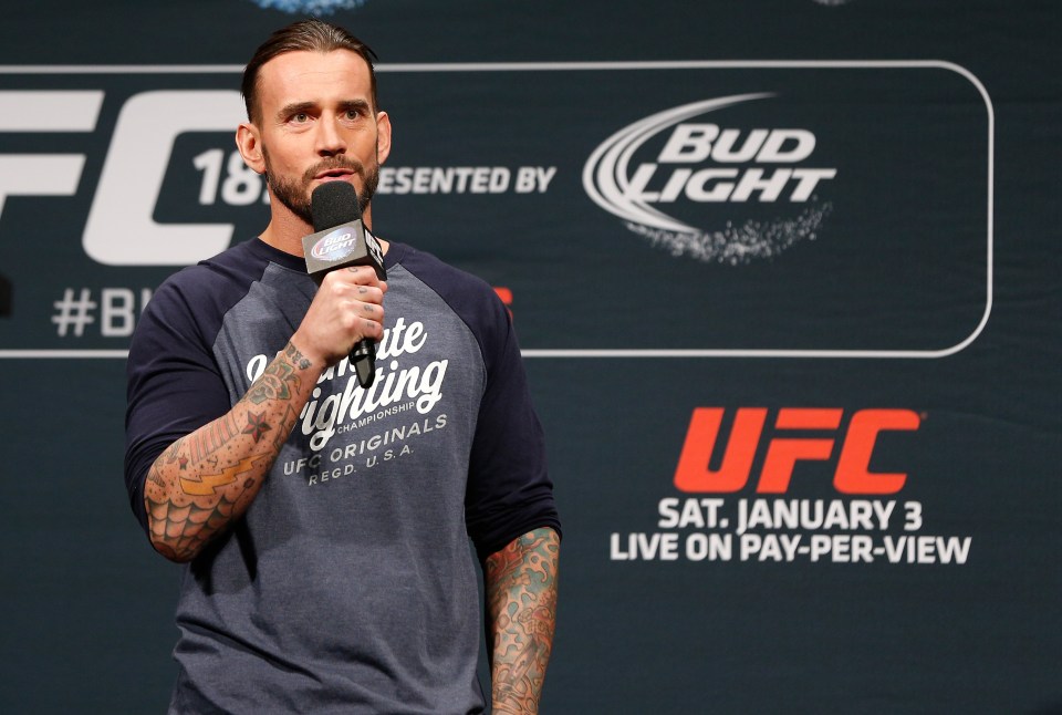  He's done interviews, fan Q&As and media spots, but we haven't seen CM Punk fight...yet