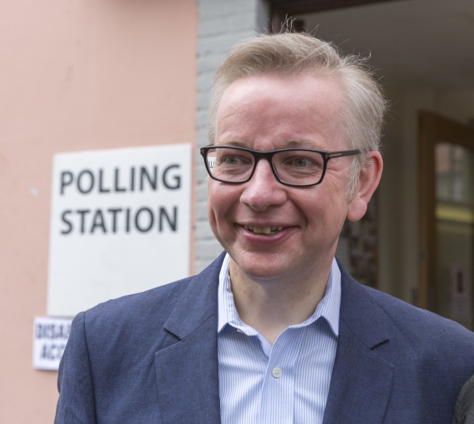  Michael Gove has always denied he wants to run for PM