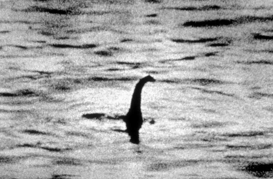  This snap was taken for the book the Loch Ness Monster: The Search for Truth