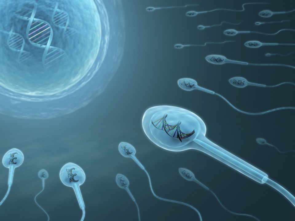 Obesity changes a gene in both the dad's sperm and the daughter's breast tissue