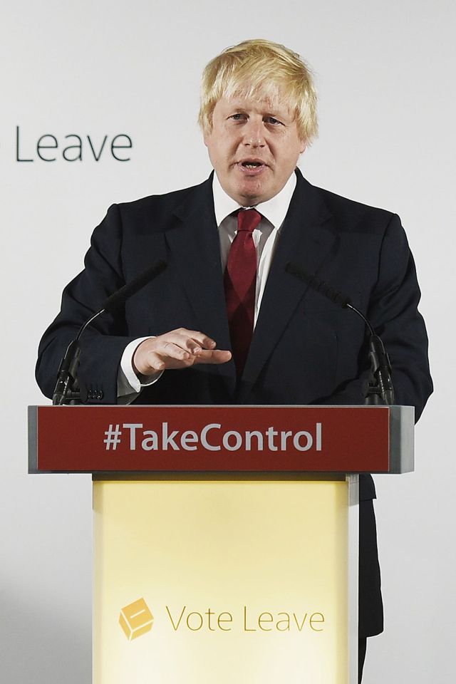 Boris Johnson, who was heavily in the Leave camp, rubbished the concern that leaving the EU would cause a conflict