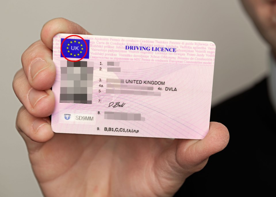  The current format - introduced to standardise the 110 different plastic and paper driving licenses across the region - may now have to change