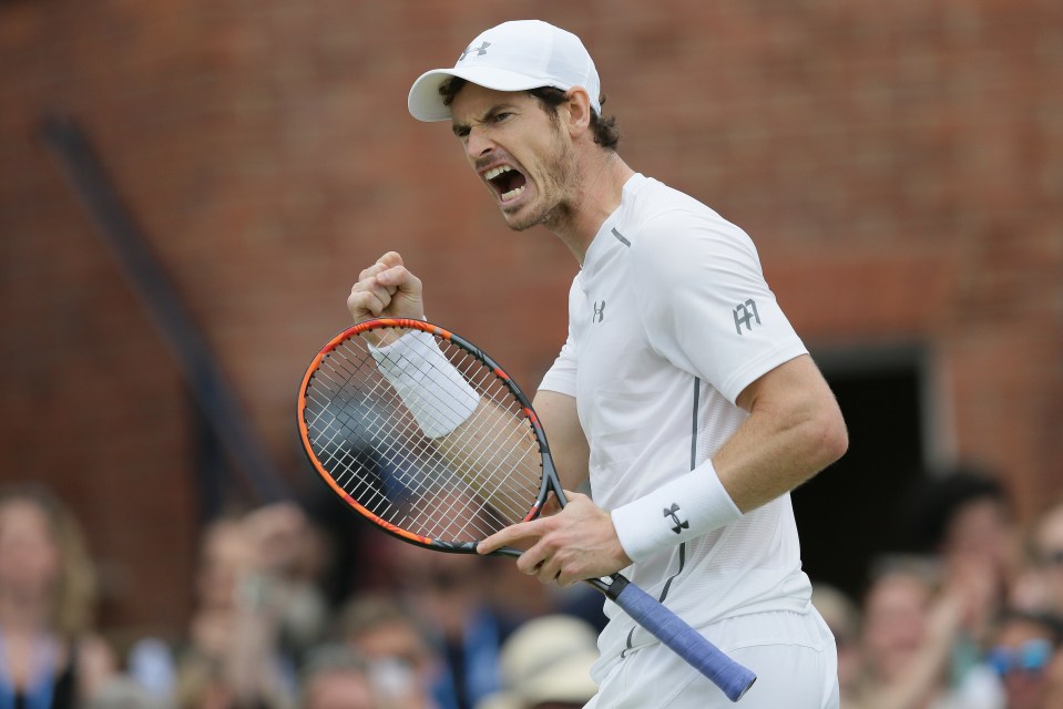  World No. 2 Andy Murray will be hoping to snatch the Wimbledon title from Djokovic this year