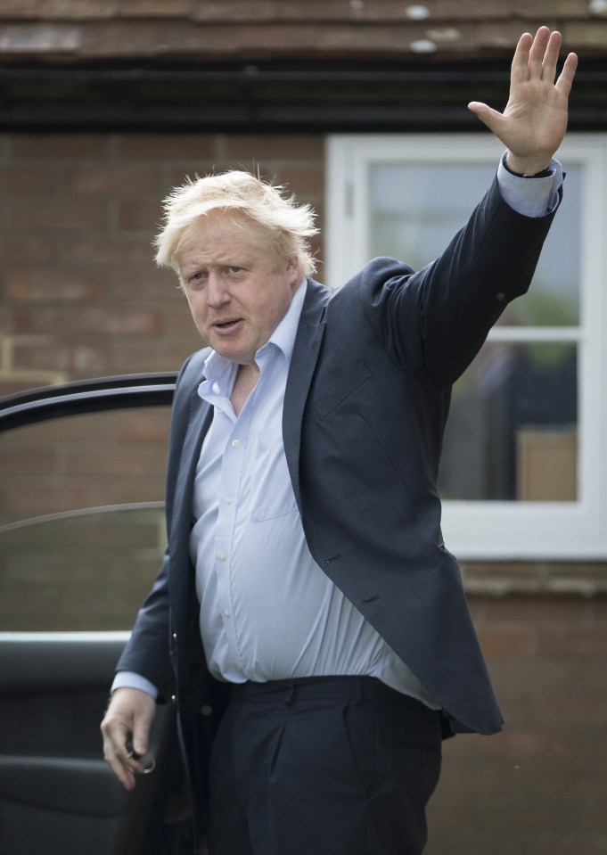  Boris is now favourite to replace David Cameron as PM