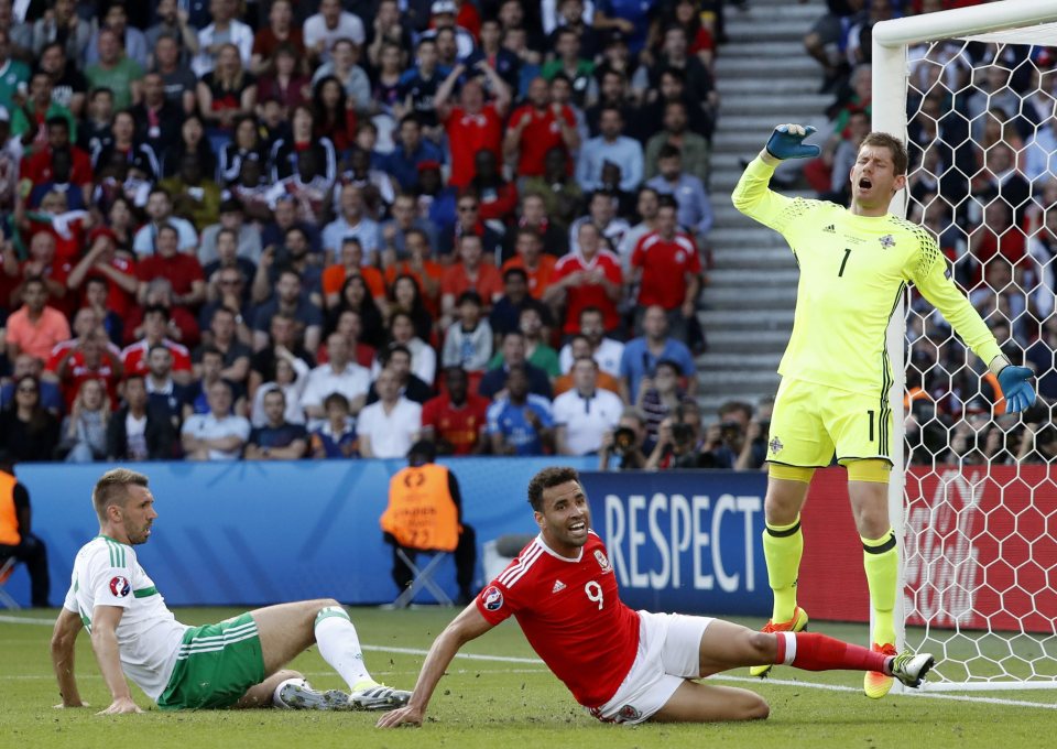  Michael McGovern shouts in despair as Gareth McAuley scores an own goal