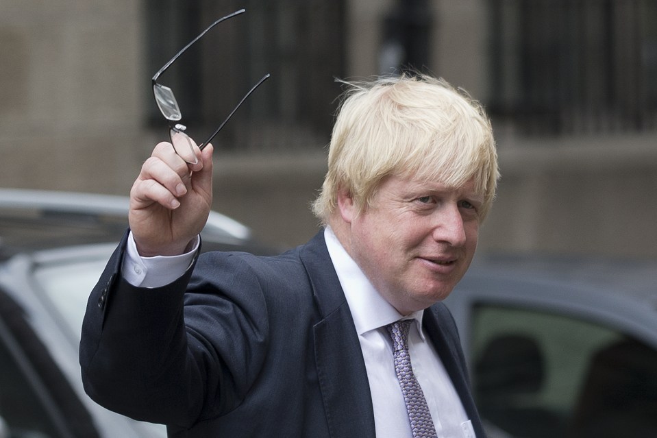  Boris Johnson is the bookies' favourite to succeed David Cameron