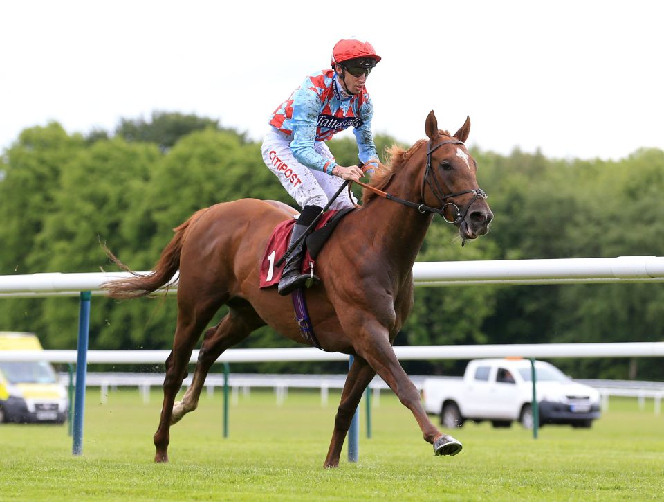  Red Verdon runs for trainer Ed Dunlop