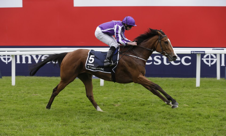  Minding is set to take on the boys at Leopardstown