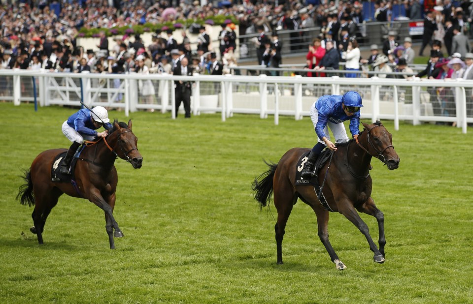  Usherette was an impressive winner of the Duke of Cambridge Stakes last year