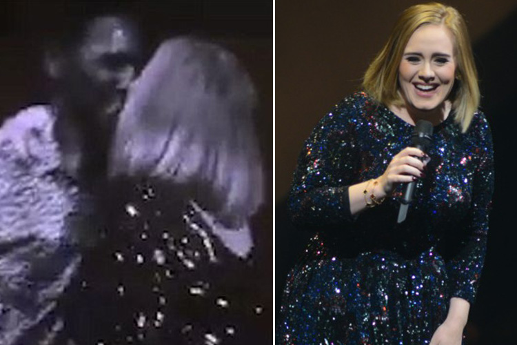  Adele accidentally locked lips with a fan after inviting him onstage for a selfie