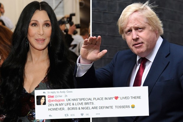 composite cher and boris