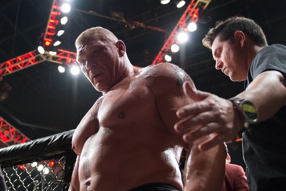  WWE superstar and former UFC champ Brock Lesnar has retired from MMA