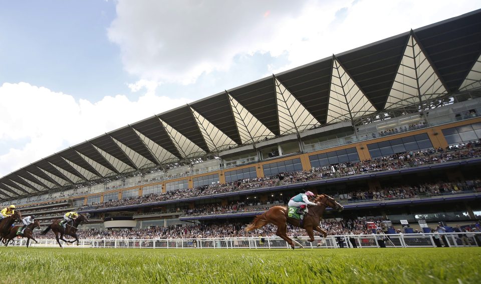  Doyle also gets the ride on Fair Eva in the 1000 Guineas