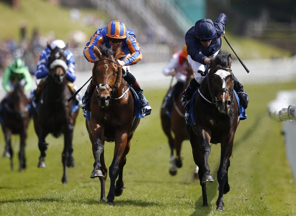  US Army Ranger (right) was fourth in the Royal Whip Stakes on his return