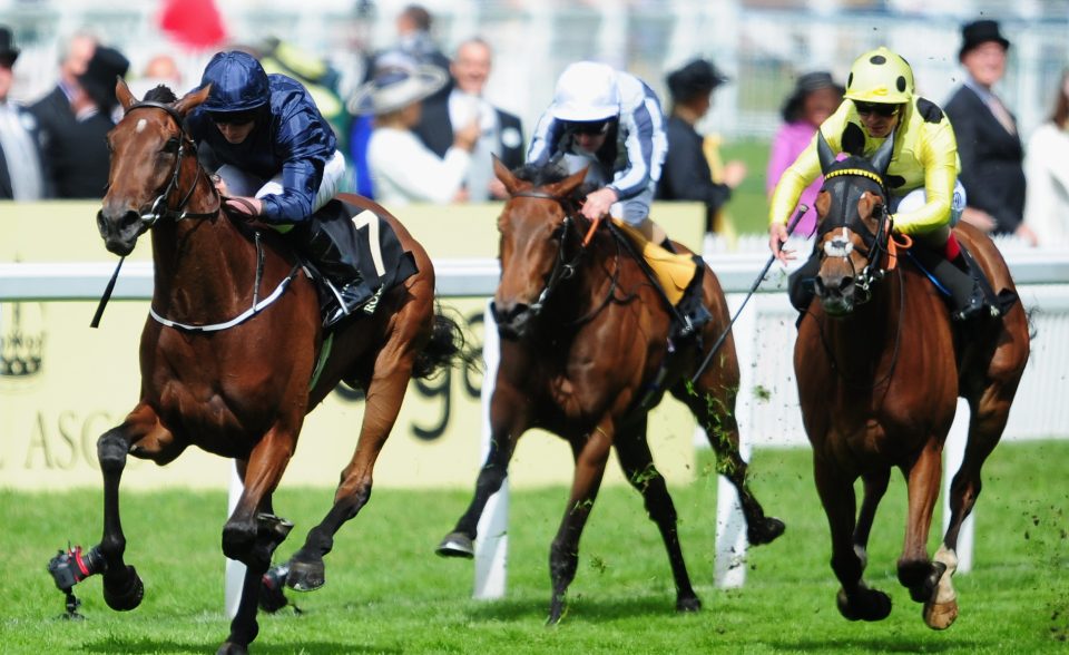  Ajman Princess (far right) has got back on track this season