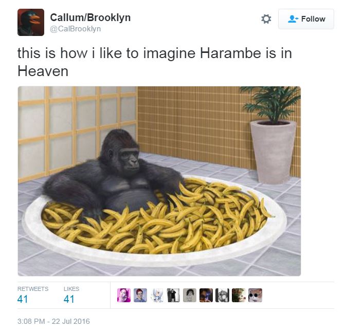 This is one of the many Harambe memes being shared across social media